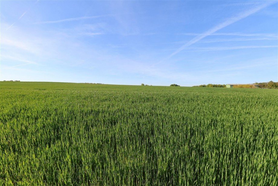 eigenes Land hinterm Garten Einfamilienhaus Berkatal