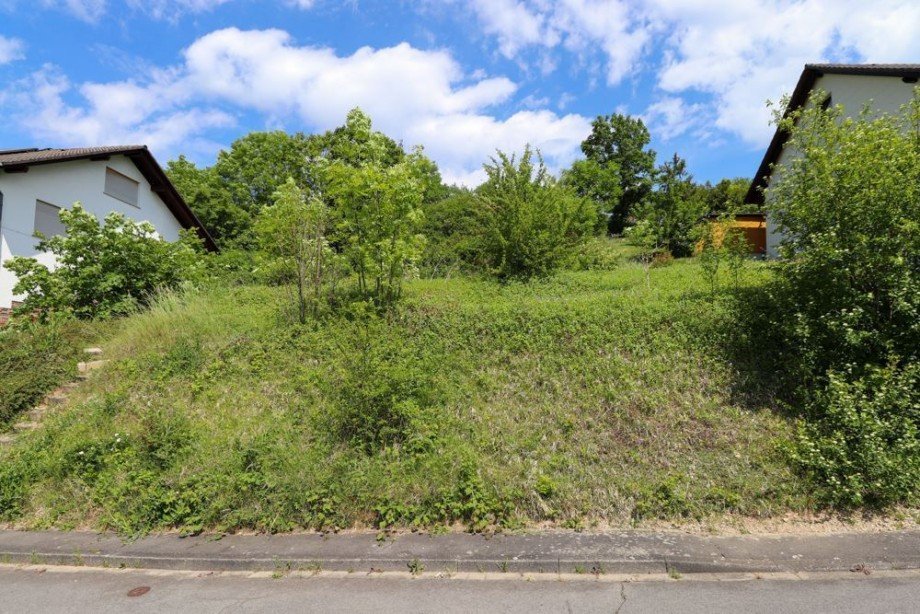 Stra�enansicht Wohngrundst�ck Ringgau