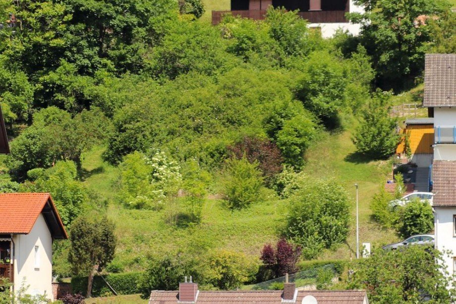 Grundst�ck nah Wohngrundst�ck Ringgau