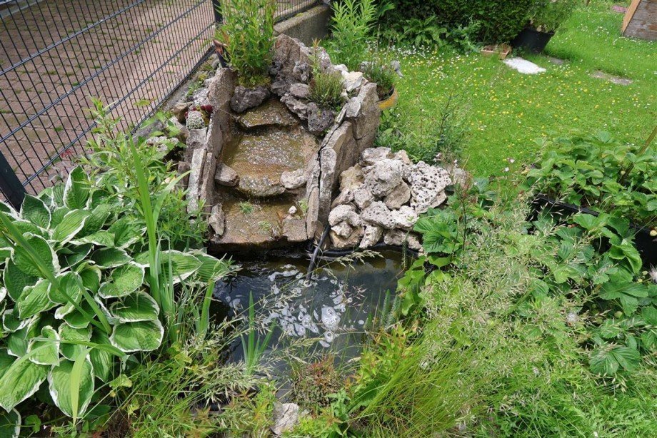 Garten Einfamilienhaus Mei�ner