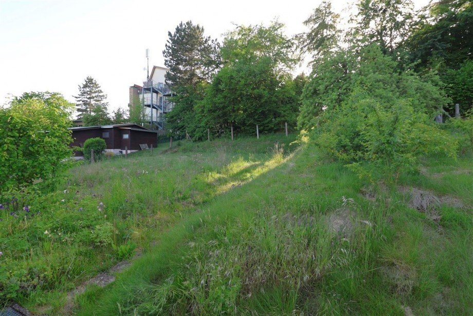 Blick in den Garten Einfamilienhaus Mei�ner