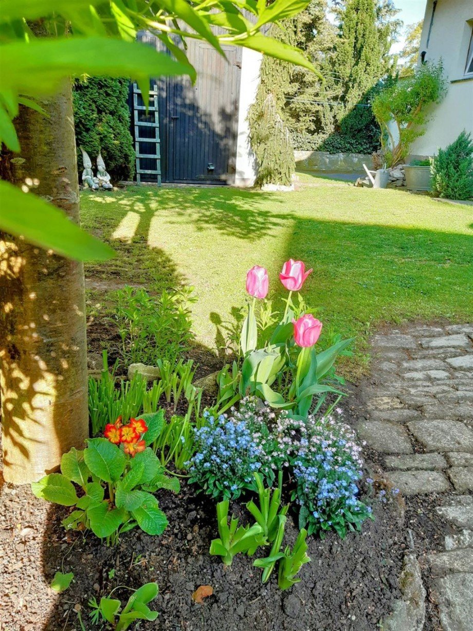 Blumenbeet Einfamilienhaus Wanfried